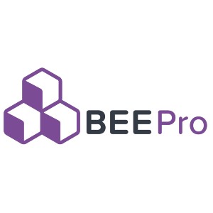 BeePro logo - Finetuned strategies - email marketing agency