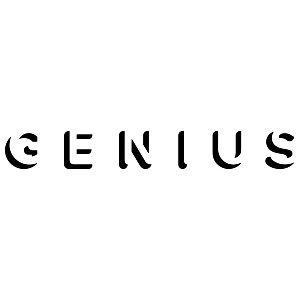 Genius logo - FineTuned Strategies digital marketing agency - social media marketing