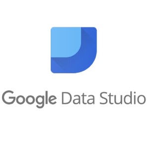 Google Data Studio Logo - FineTuned Strategies - Digital marketing agency for small business