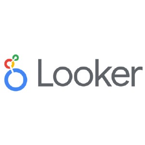 Looker Logo - FineTuned Strategies - Digital marketing agency for small business