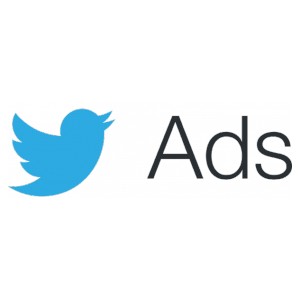 Twitter ads logo - finetuned strategies digital marketing agency for small businesses 300x300