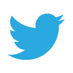 Twitter logo - FineTuned Strategies digital marketing agency - social media marketing